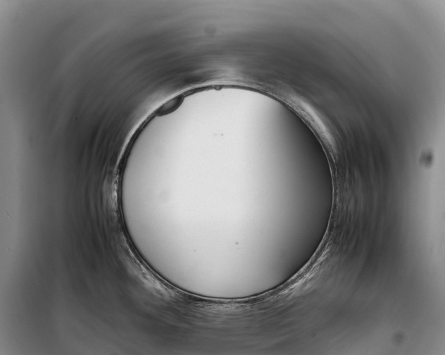 X0000099231292200805151621