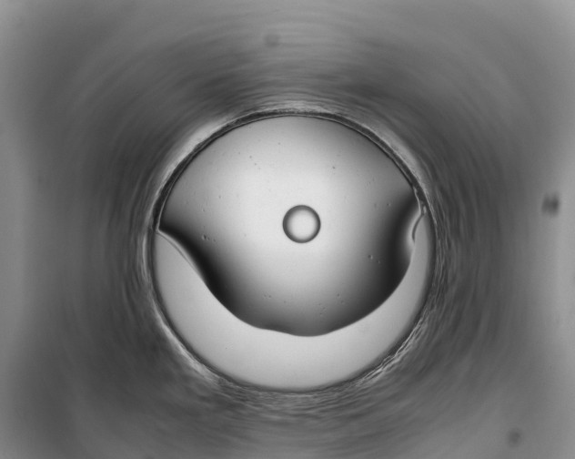 X0000099231293200805151621