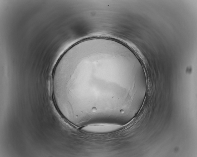 X0000099231295200805151621