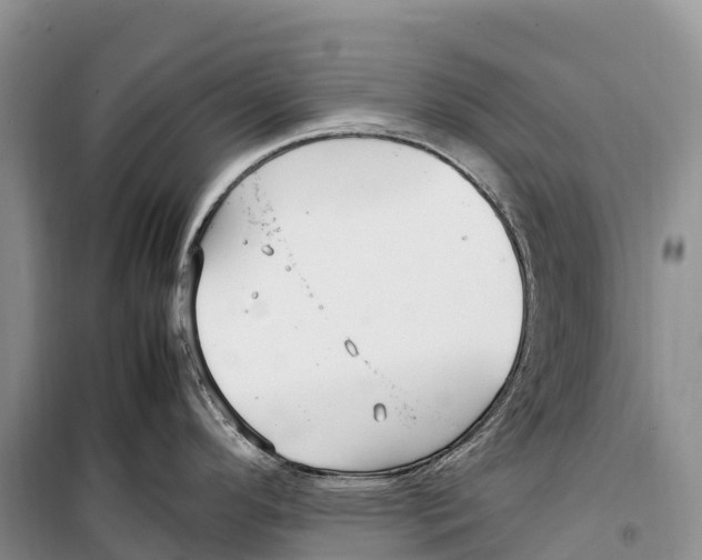 X0000099231296200805151621