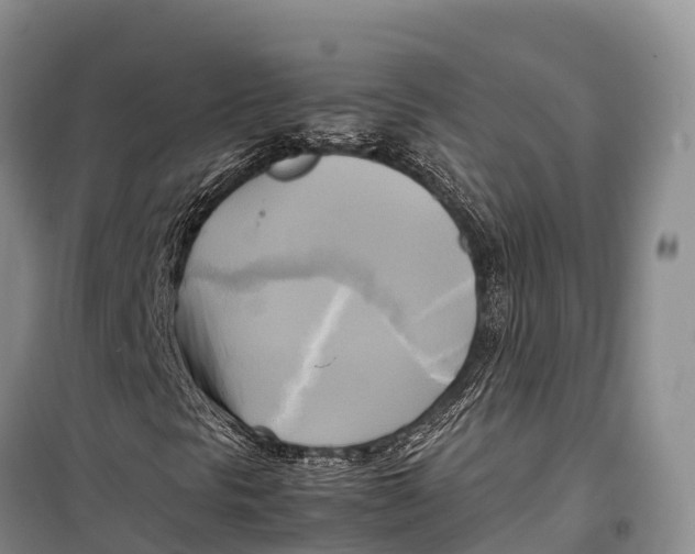 X0000099231297200805151620