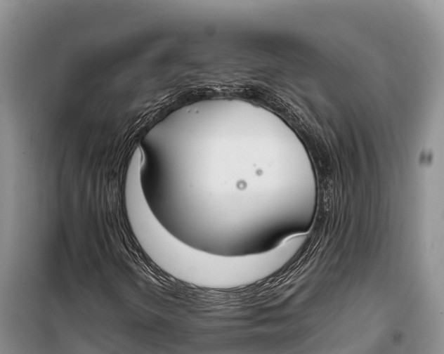 X0000099231298200805151620