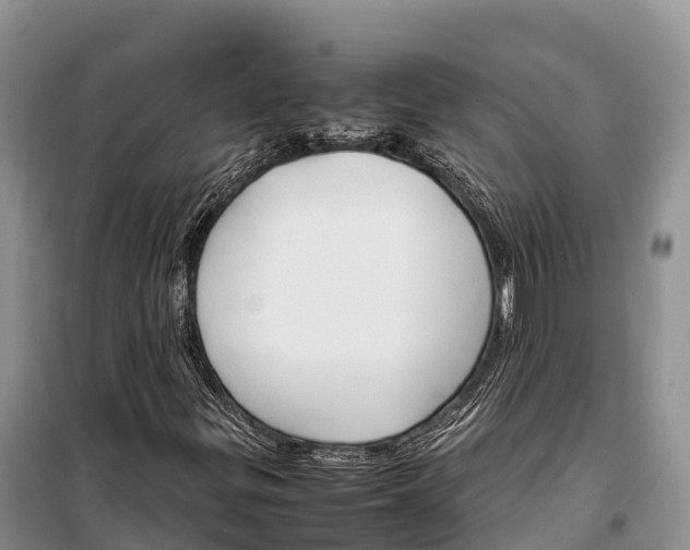 X0000099231299200805151620