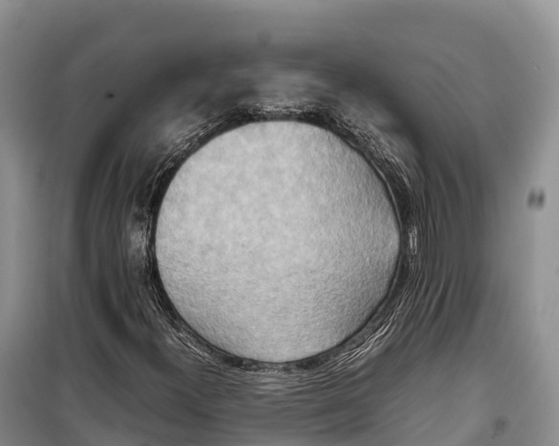 X0000099231300200805151620