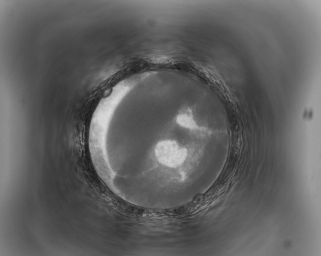 X0000099231301200805151620