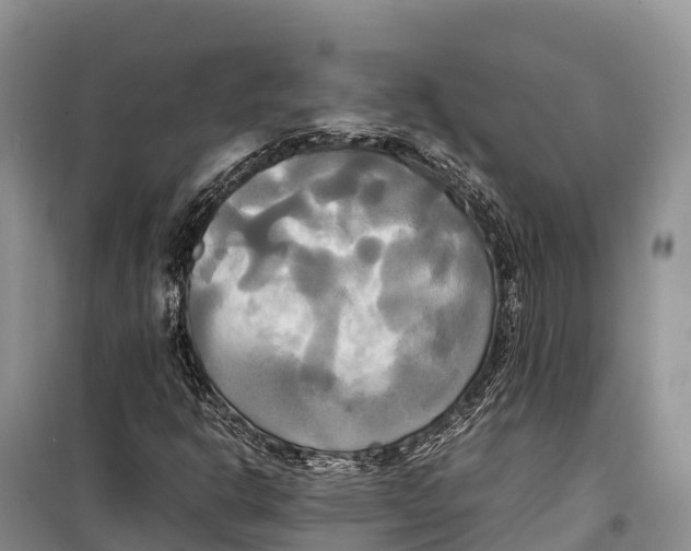 X0000099231302200805151620