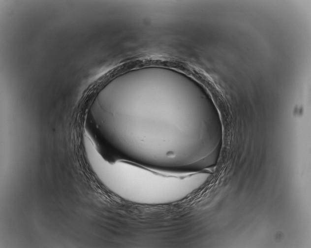 X0000099231303200805151620