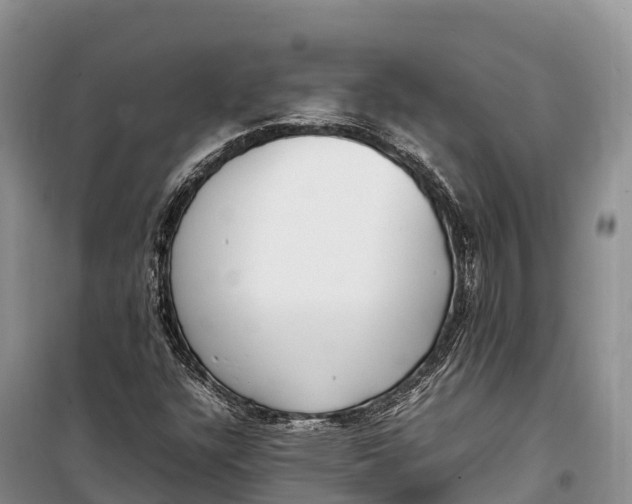 X0000099231304200805151620