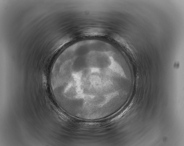 X0000099231305200805151620