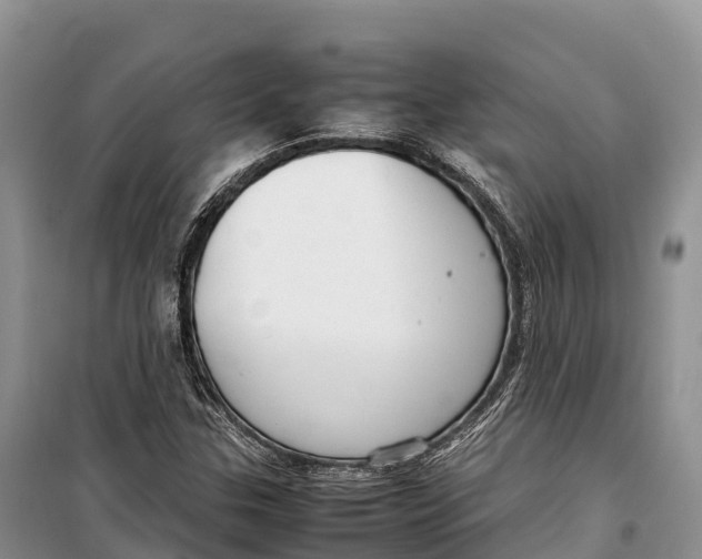 X0000099231307200805151620