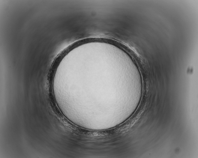 X0000099231311200805151620