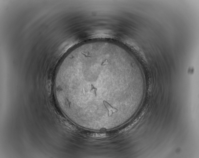 X0000099231313200805151620