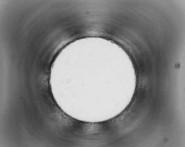 X0000099231314200805151620