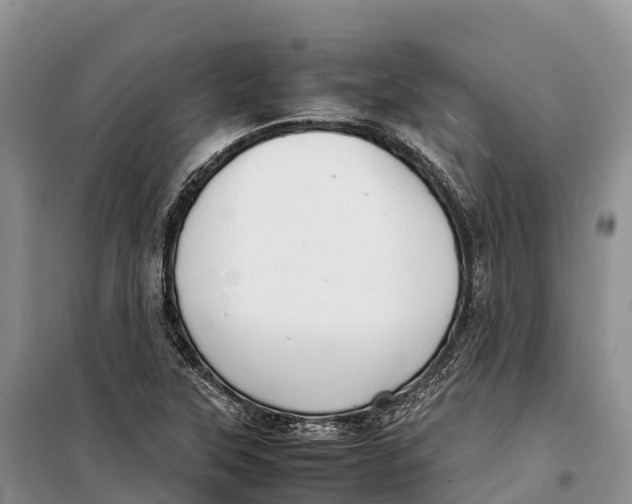 X0000099231315200805151621