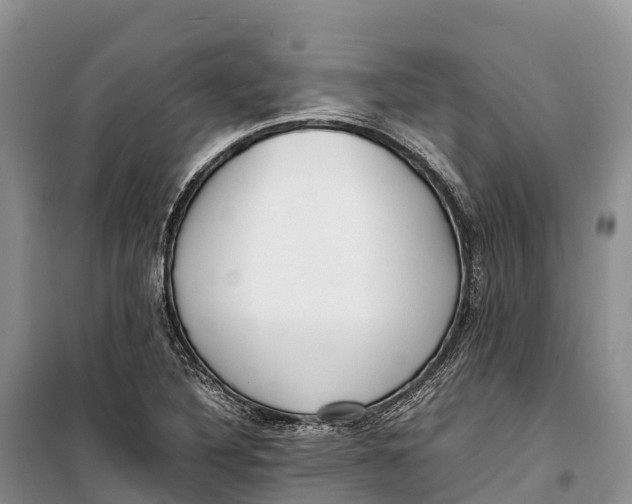 X0000099231316200805151621