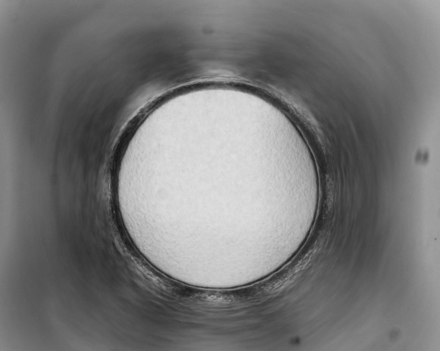 X0000099231318200805151621