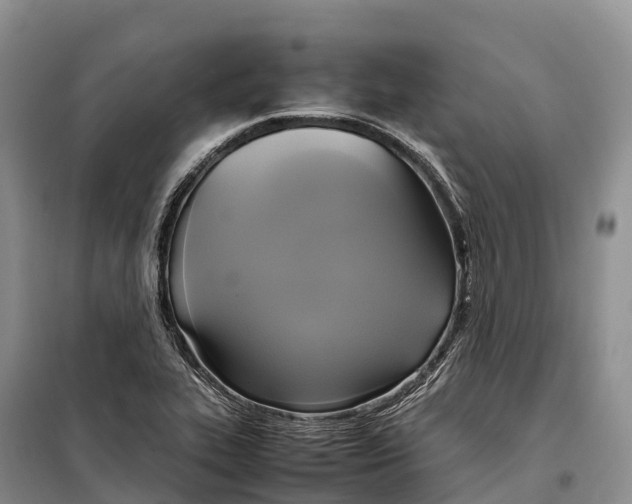 X0000099231319200805151621