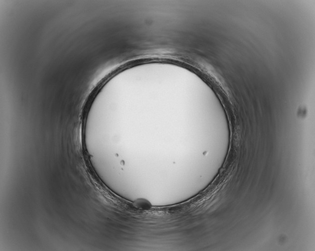 X0000099231320200805151621