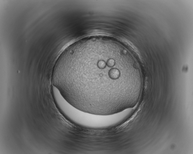 X0000099231321200805151621