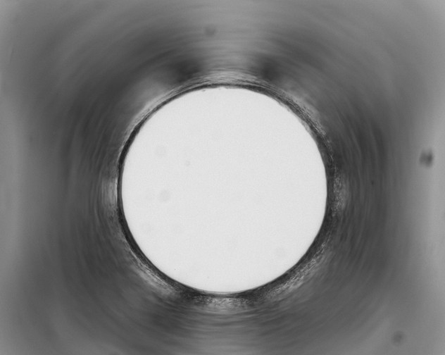 X0000099231322200805151621