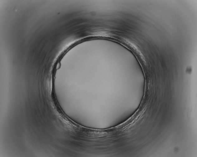 X0000099231323200805151621