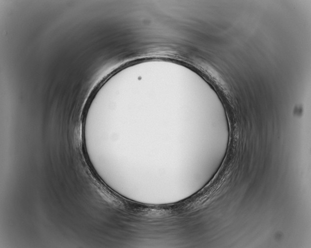 X0000099231324200805151621