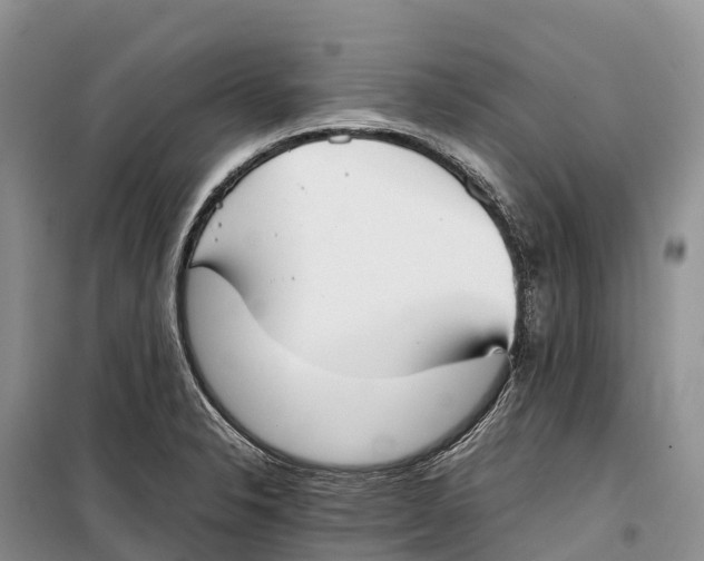 X0000099231326200805151621