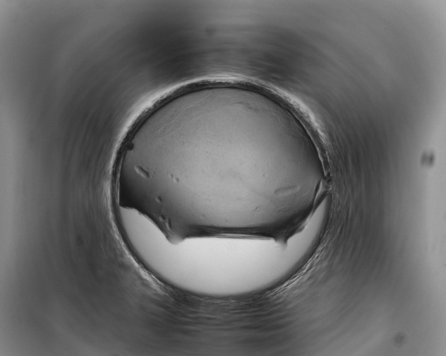 X0000099231327200805151621