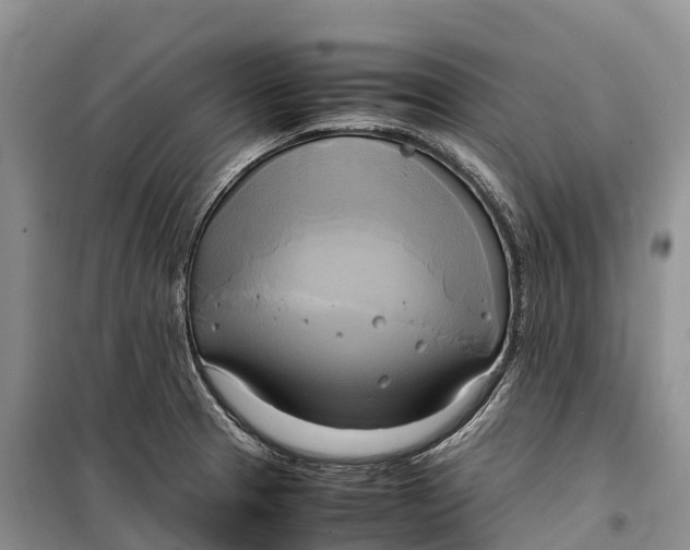 X0000099231329200805151621