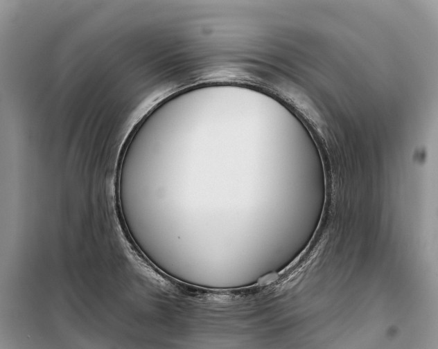 X0000099231330200805151621