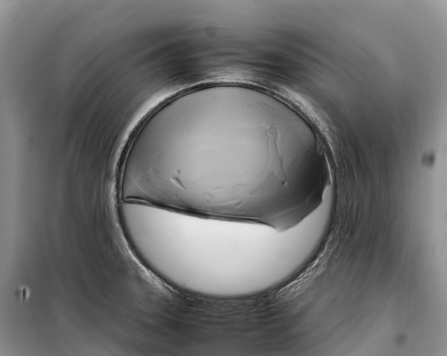 X0000099231331200805151621