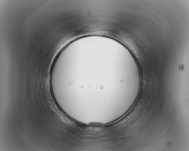 X0000099231332200805151621