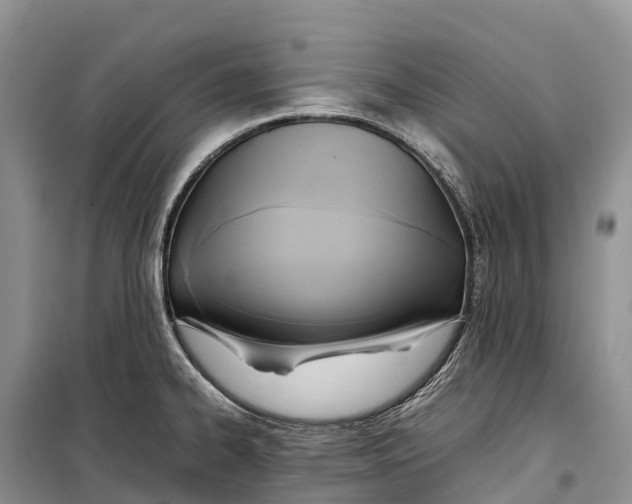 X0000099231334200805151621