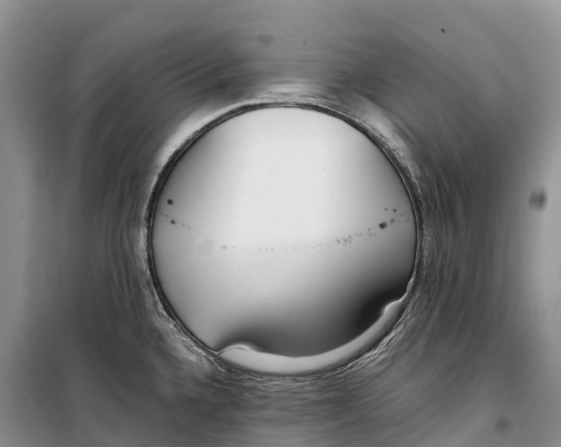 X0000099231336200805151621