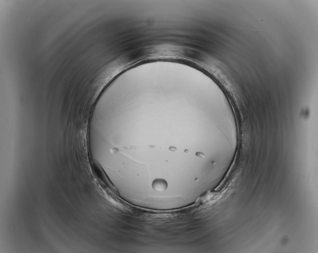 X0000099231337200805151621