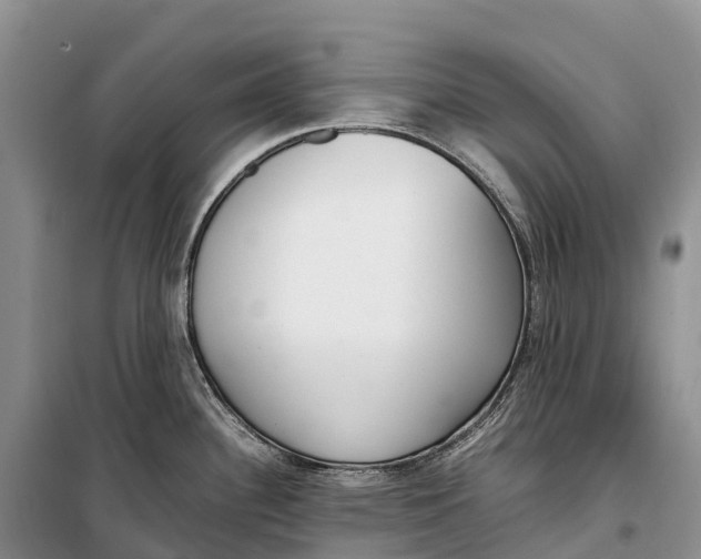 X0000099231340200805151621