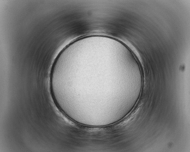 X0000099231341200805151621