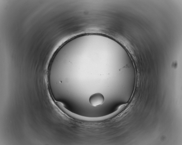 X0000099231342200805151621