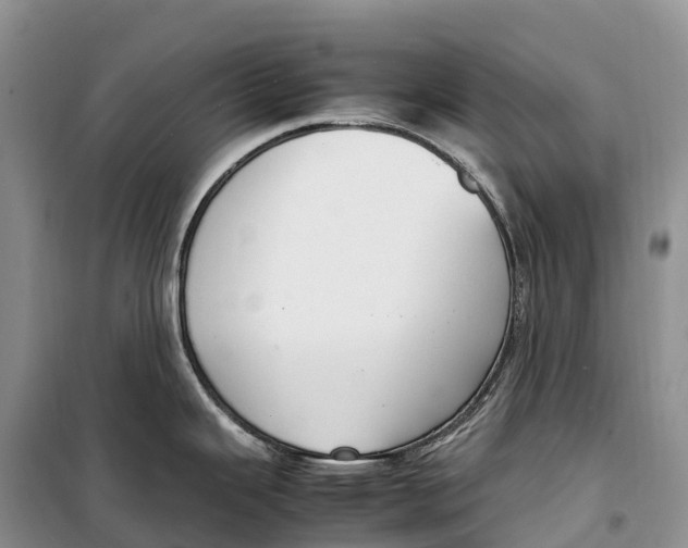 X0000099231343200805151621