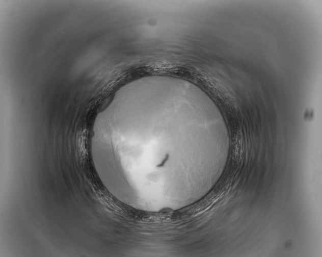 X0000099231346200805151620