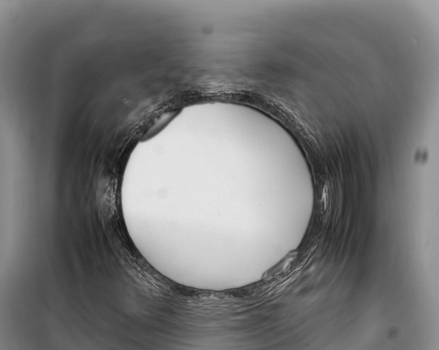 X0000099231348200805151620