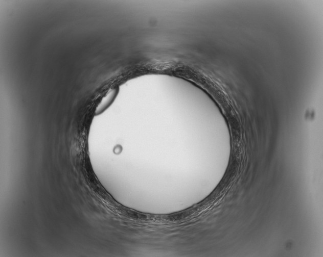 X0000099231349200805151620