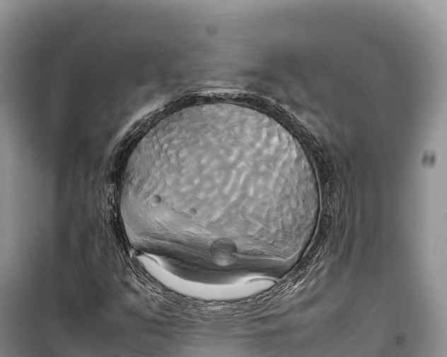 X0000099231351200805151620