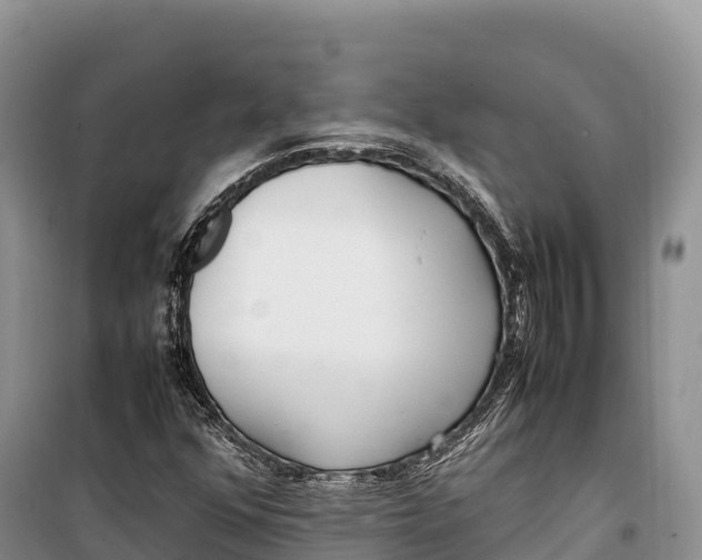 X0000099231352200805151620