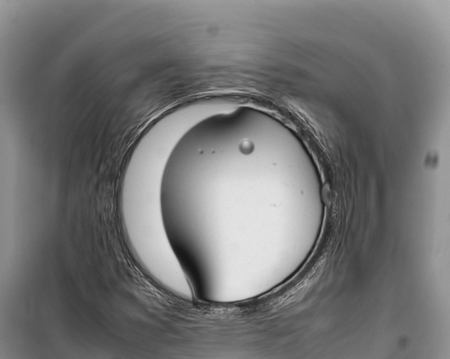 X0000099231353200805151620