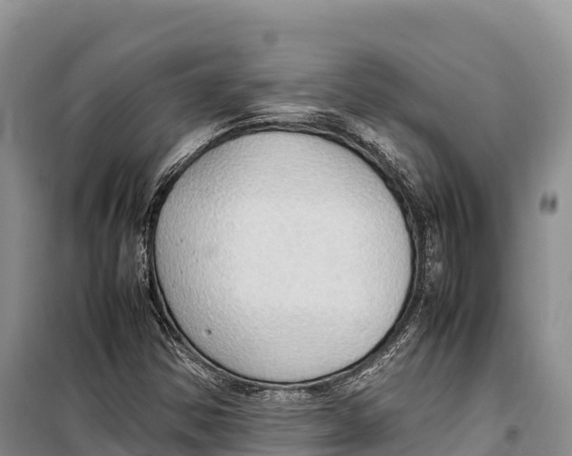 X0000099231354200805151620