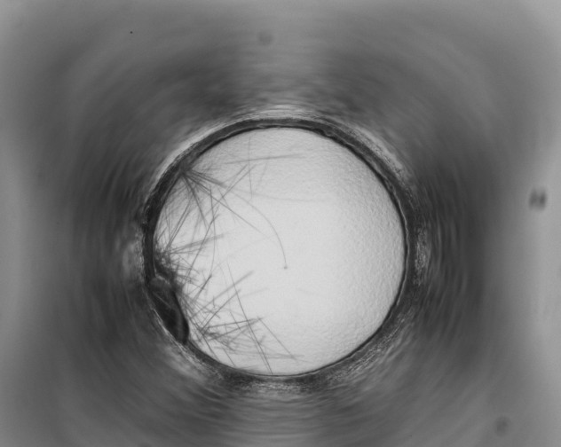 X0000099231356200805151620