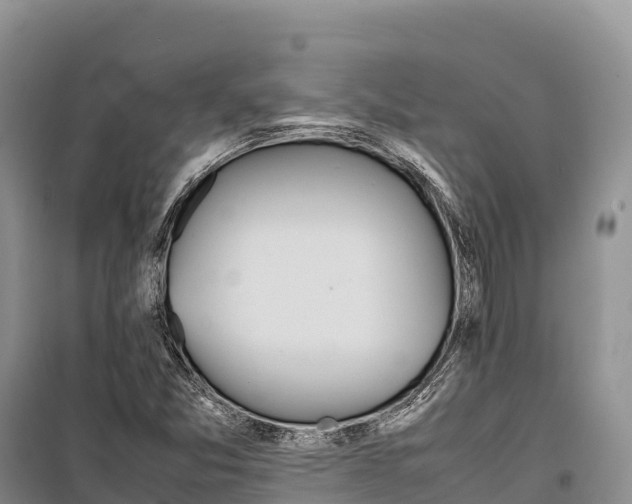 X0000099231357200805151620