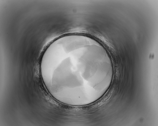 X0000099231358200805151620