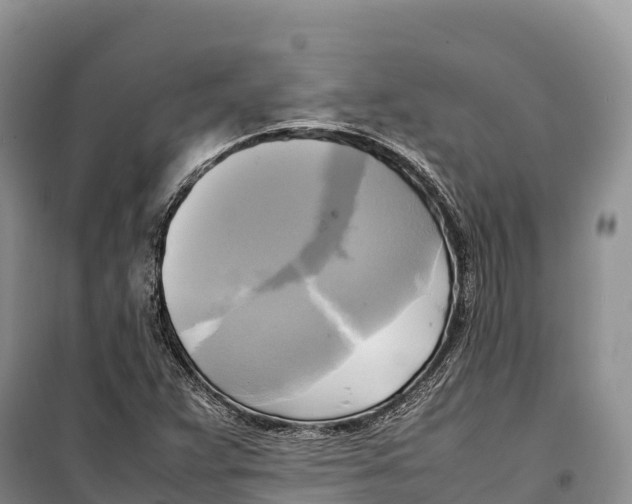 X0000099231359200805151620